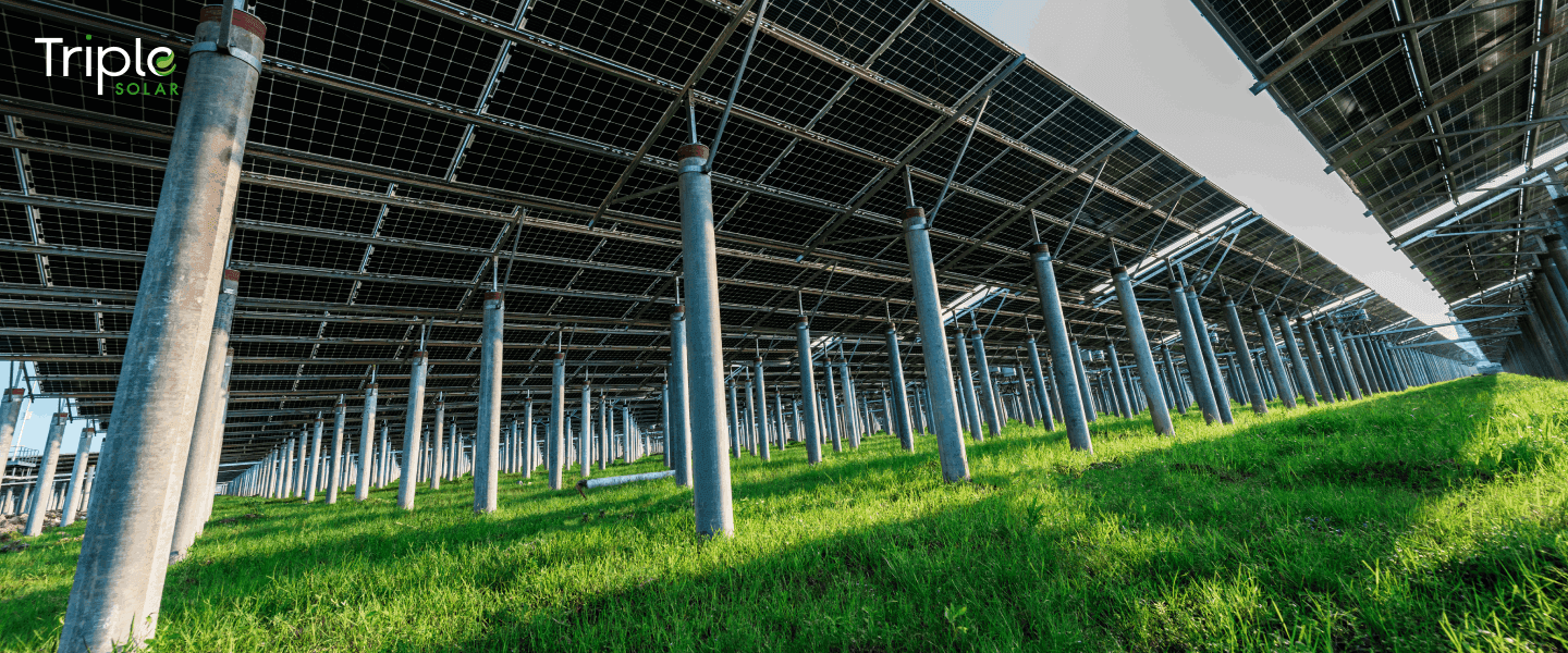 Triple Solar