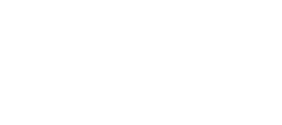 Google Partner